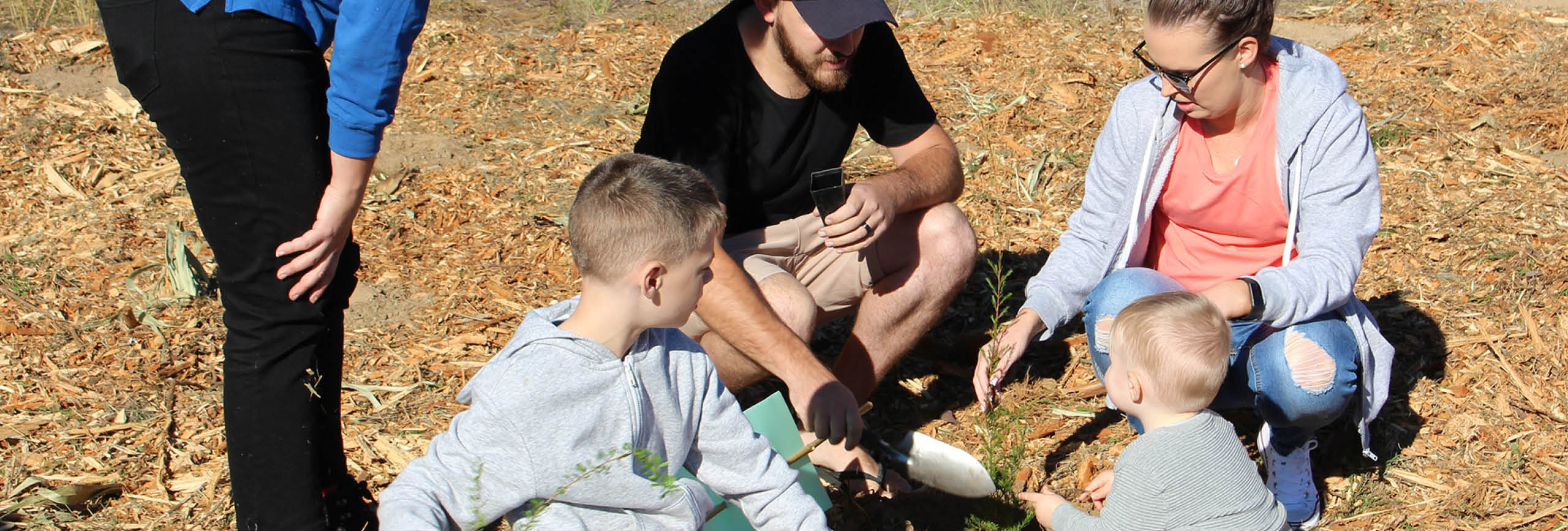 Family planting a tree