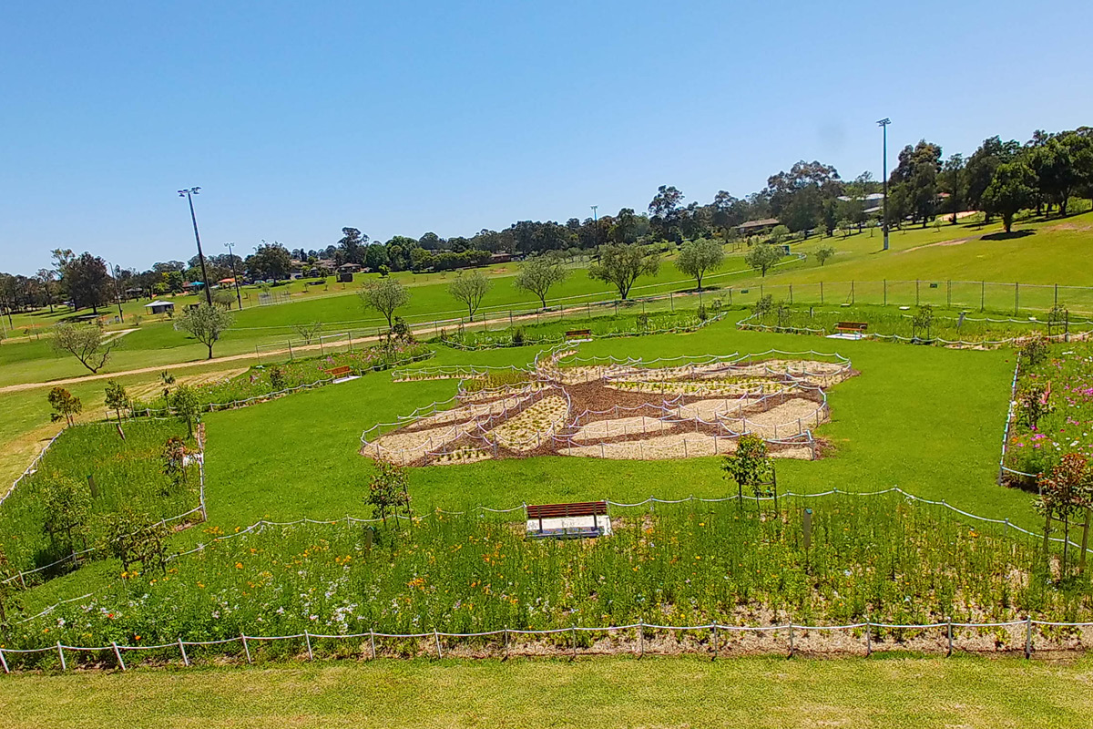 aerial view of a green field with a bee shaped garden bed