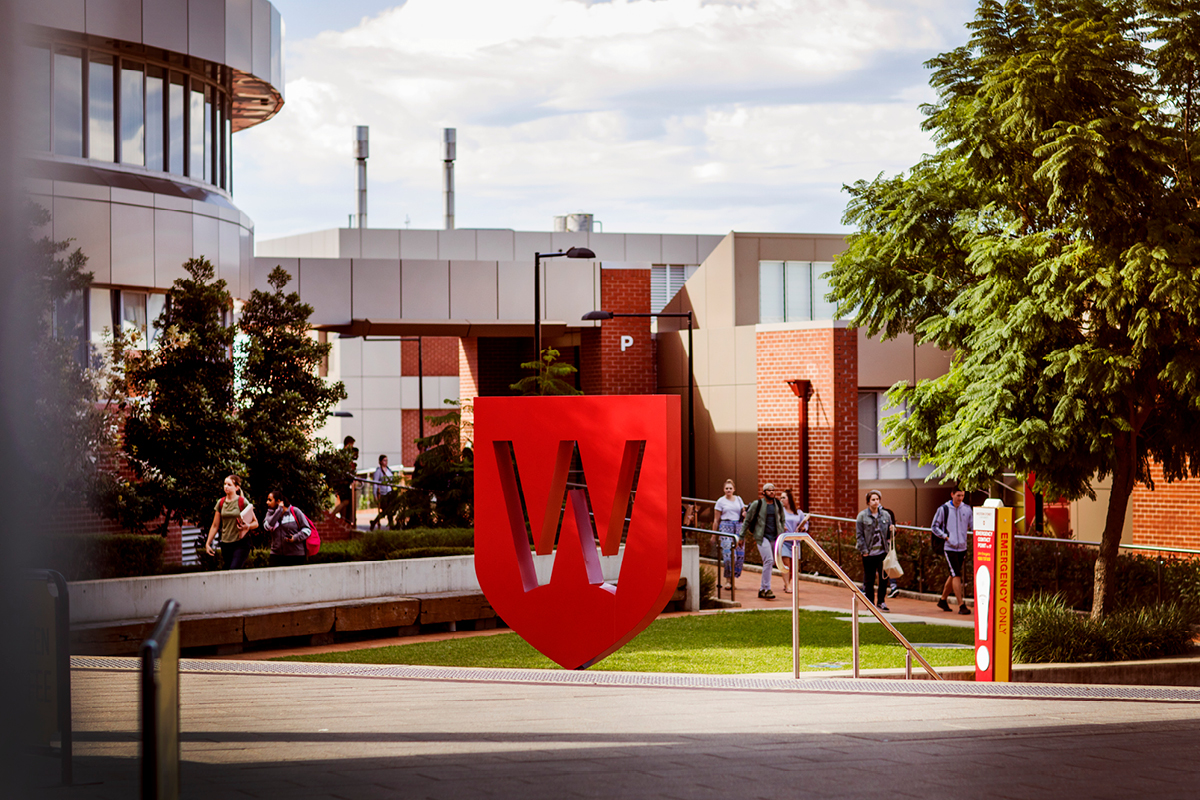 university campus with large W sign on lawn