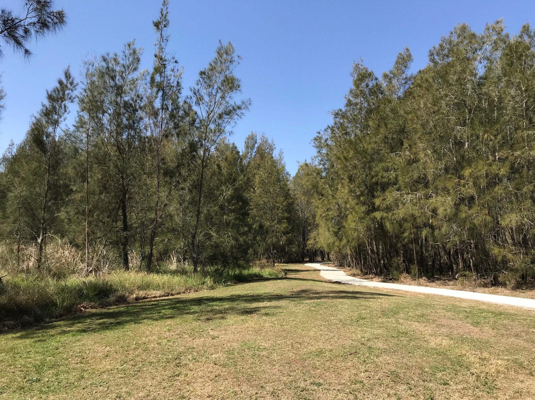 casuarina reserve