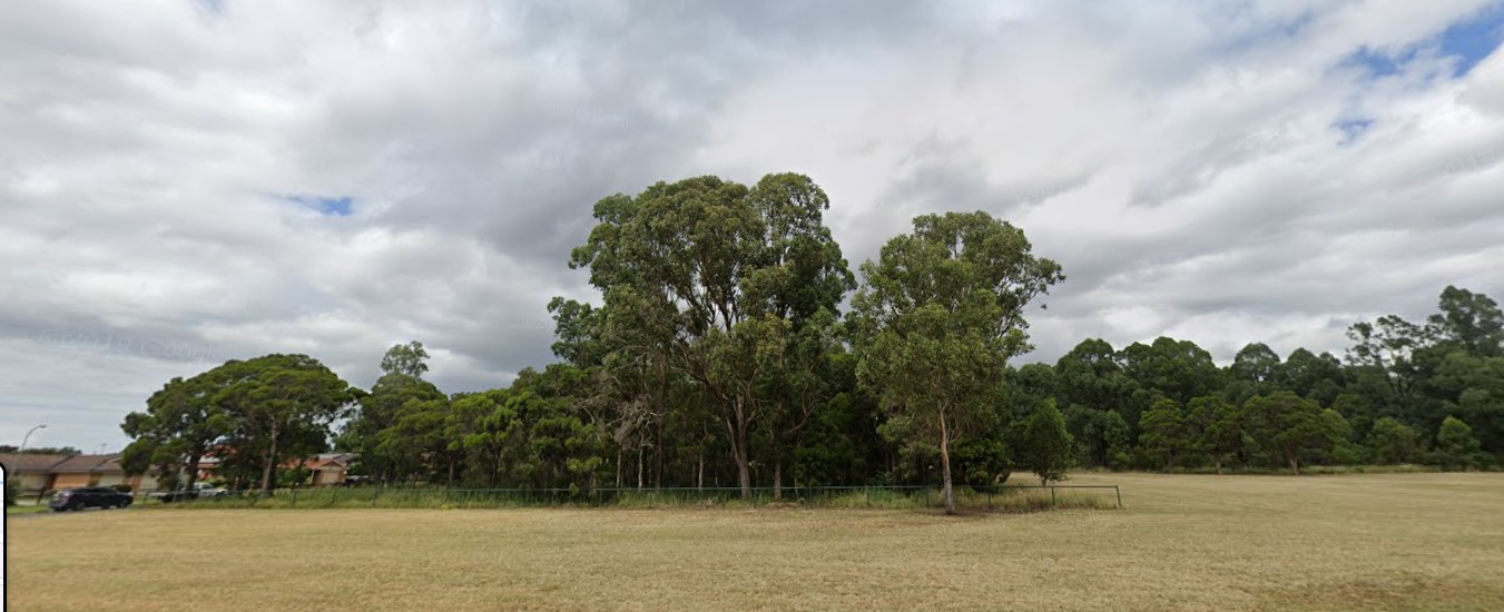 dorothy radford reserve