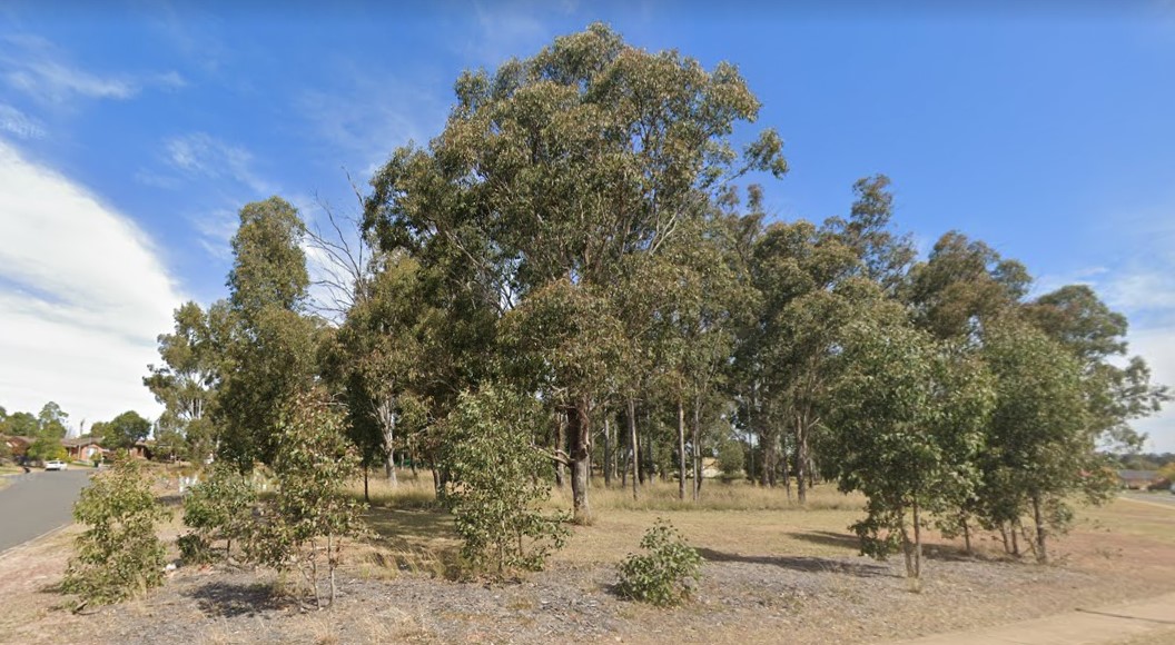 greenbank drive reserve