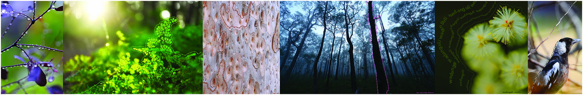 Hoarding displaying nature, trees, birds and plants