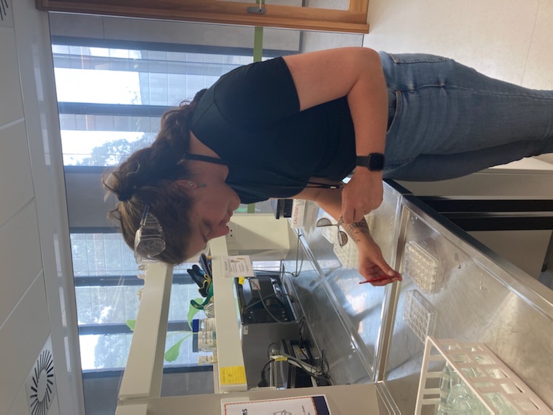 A team member checking the viability of the seeds at a desk in a lab.