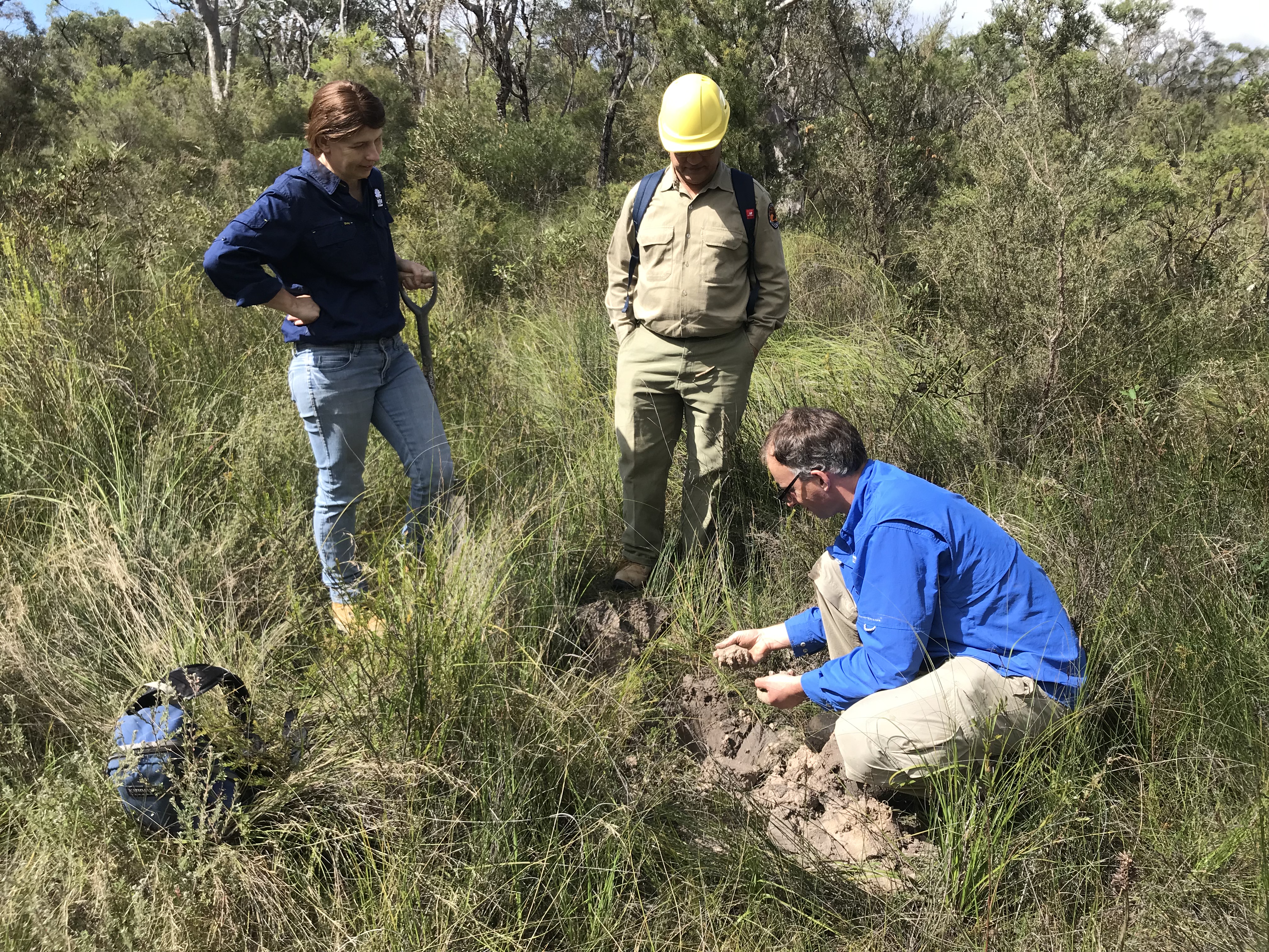 A small group of people out in the bushland checking the soils.