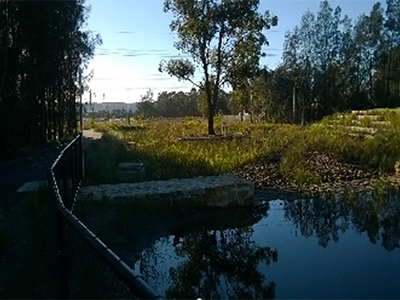 Bioretention basins