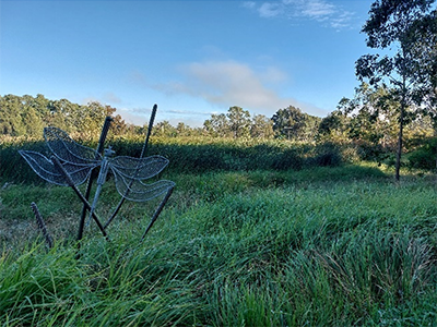 Wetland northern side