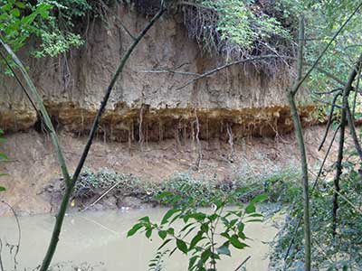 Stormwater Litter