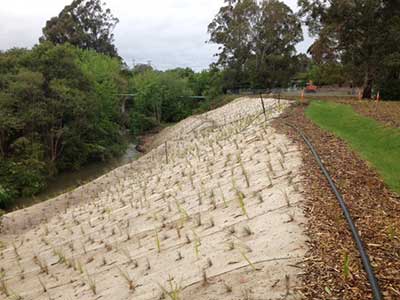 Stormwater Litter